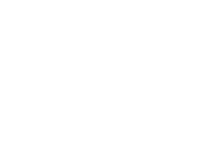 Avinom logo