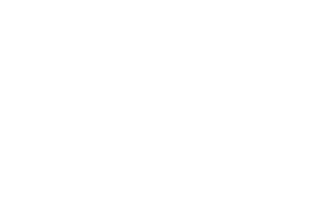 Eurolux logo