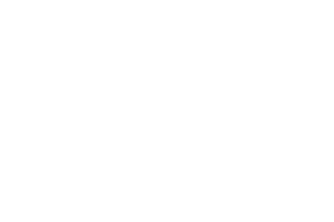 Arma logo