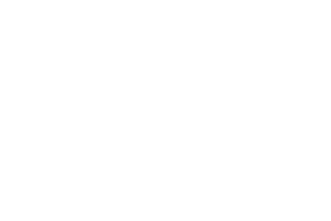 Kleinunits logo