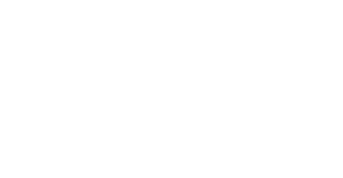 BSI Logo